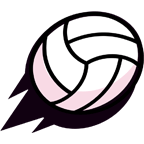 Volley Brawl icon