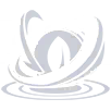 Caffeine Shock
