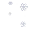 Icy Guard