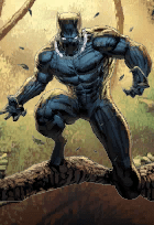 Black Panther card