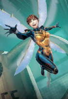 Wasp card