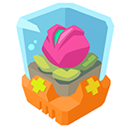 Feel-Better Bloom