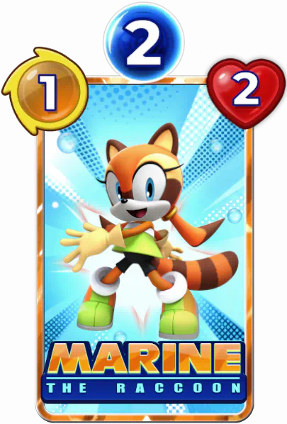 Marine the Racoon